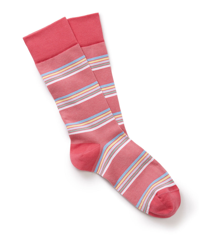 Multi Color Stripe- Rose of Sharon socks.