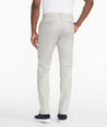 Model wearing a Grey Chino Pants