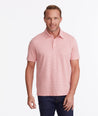 Model wearing a Pink Wrinkle-Free Polo with Williams Print