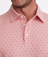 Wrinkle-Free Polo with Williams Print - FINAL SALE