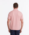 Model wearing a Pink Wrinkle-Free Polo with Williams Print